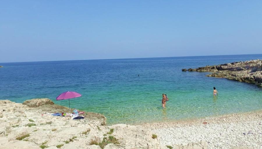 Apartman Gabrijela Muntić Esterno foto